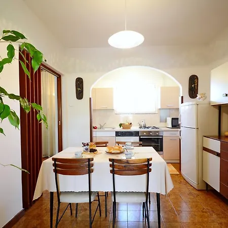 Branka Apartment