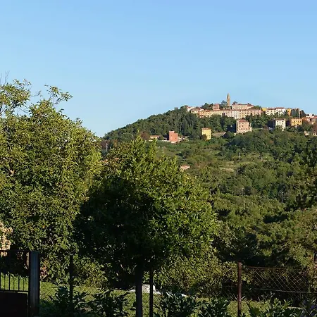 Branka Labin (Istria)
